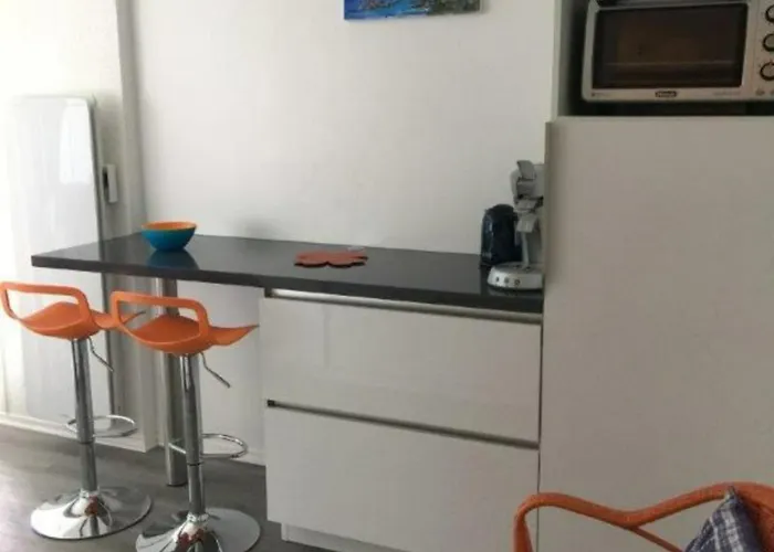 Lumineux Avec Balcon, Parking Et Animaux Acceptes - Fr-1-494-66