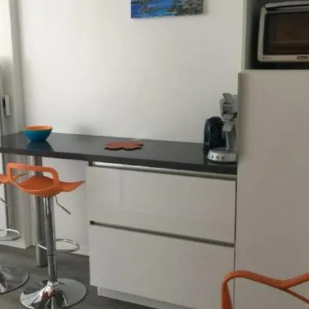 Lumineux Avec Balcon, Parking Et Animaux Acceptes - Fr-1-494-66