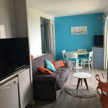 Lumineux Avec Balcon, Parking Et Animaux Acceptes - Fr-1-494-66